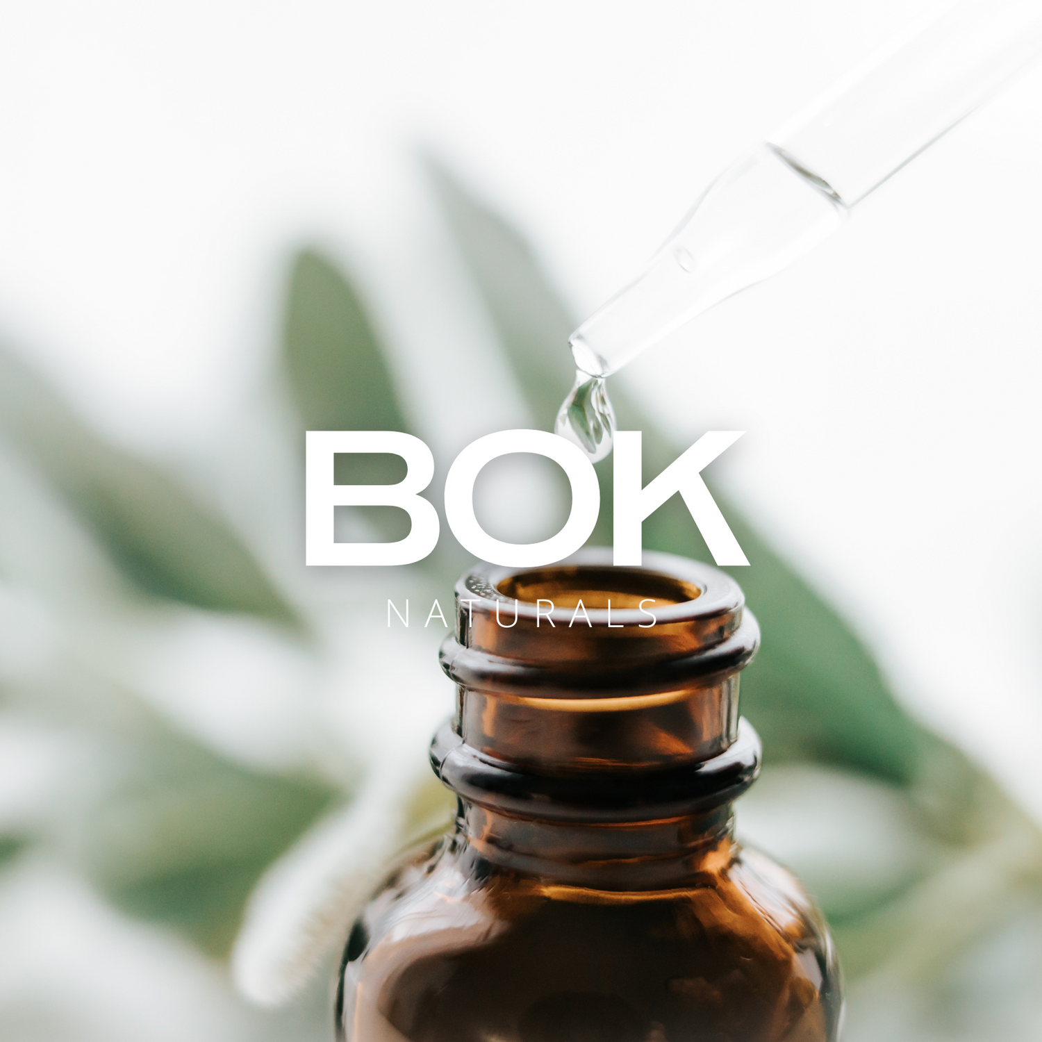 Oils | BOK Naturals